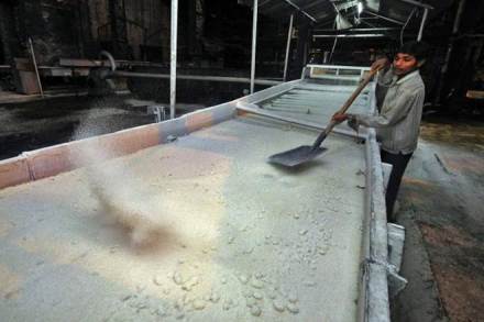 sugar import, sugar import news, sugar import latest news, sugar import india, india sugar import, sugar, sugar price, sugar price india, high sugar price