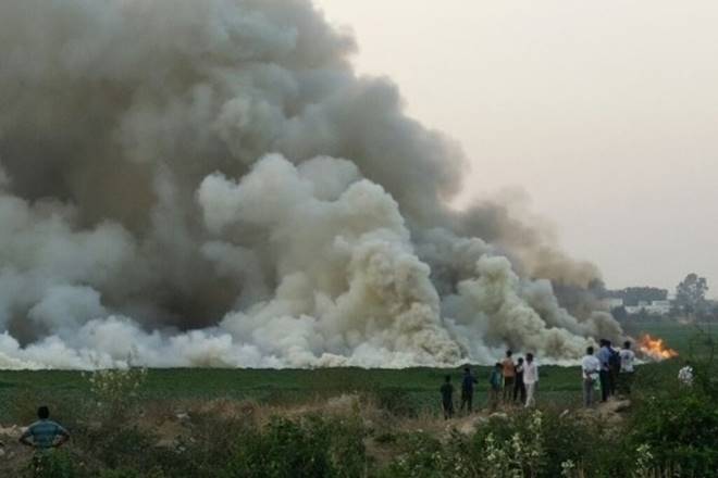 NGT, National Green Tribunal, Bellandur lake pollution, Bellandur lake, fire in lake, fire in Bellandur lake, clean lake, orders to clean lake, water pollution, pollution