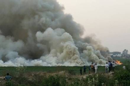 NGT, National Green Tribunal, Bellandur lake pollution, Bellandur lake, fire in lake, fire in Bellandur lake, clean lake, orders to clean lake, water pollution, pollution