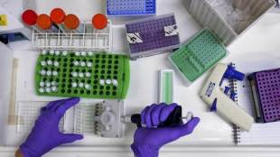 China, China probes academic fraud, China investigating claims, investigating claims, academic fraud, Chinese cancer researchers, foreign medical journal, Chinese medical institutions, zero tolerance, cancer researchers
