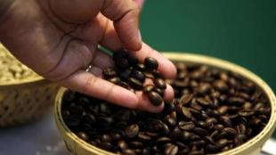 coffee, coffee cost, coffee US, coffee yemen, coffee united states, coffee imports US, industry, industry news, financial express