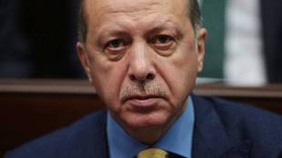 Turkey, Qatar, Recep Tayyip Erdogan, Bahrain, Qatari Emir Tameem Bin Hamad Al Thani, Donald Trump, Gulf crisis, Egypt, Saudi Arabia, UAE, Gulf Cooperation Council