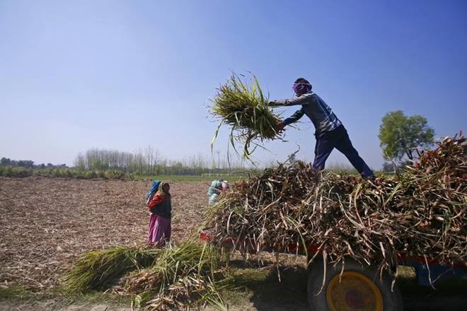 investement, farmers, stock, BHAFIN, MMFS