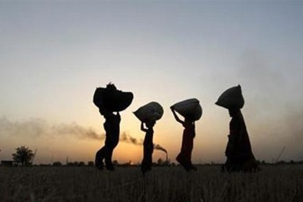 Maharashtra farm loan waiver, arm loan, loan waiver, Quantum of loan waiver, Sudhir Mungantiwar, grant loan waiver Maharashtra farm loan waiver, arm loan, loan waiver, Quantum of loan waiver, Sudhir Mungantiwar, grant loan waiver