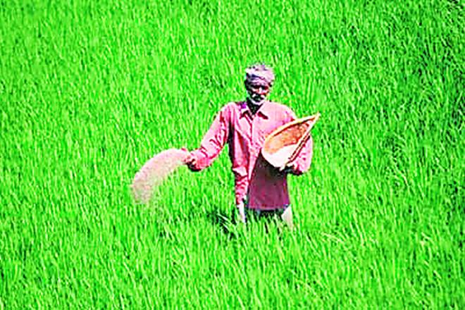 Farm loan waivers, Reserve Bank of India, SDL, SDL securities, treasury department, Kotak Economic Research, GDP Farm loan waivers, Reserve Bank of India, SDL, SDL securities, treasury department, Kotak Economic Research, GDP