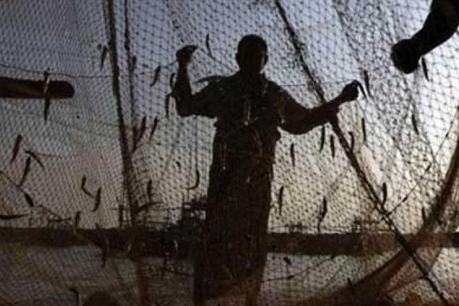 loan waiver for fishermen, Shiv Sena MP Rahul Shewale, fishermen, Rahul Shewale, Devendra Fadnavis loan waiver for fishermen, Shiv Sena MP Rahul Shewale, fishermen, Rahul Shewale, Devendra Fadnavis