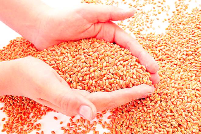 food grain price hike, food grain price, food law, National Food Security Act , NFSA, minimum support price, rise in minimum support price