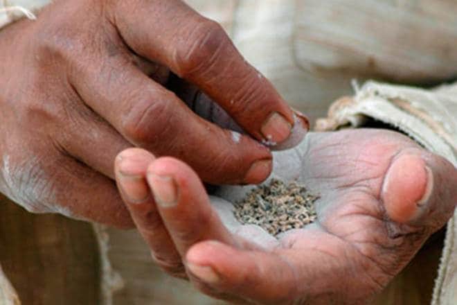DGCEI, Blackmoney, illegal gutkha unit, illegal gutkha, tax evasion, intelligence arm, central excise duty evasion, gutkha manufacturing unit, Directorate General of Central Excise Intelligence, DGCEI busts illegal gutkha unit