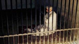 Phones,Gurgaon jail, SIM cards recovered , Gurgaon's Bhondsi jail,  Sumit Kumar, Sandeep Khairwar