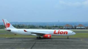 Lion Air, Boeing 737 MAX 10, Indonesian budget carrier Lion Air, Boeing Co plane, medium-haul jet family, Paris Airshow, SpiceJet, potential targets, Airbus A321neo
