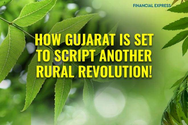 neem harvest, fertiliser sector, agriculture, agriculture india, agriculture industry, gnfc, fertiliser industry
