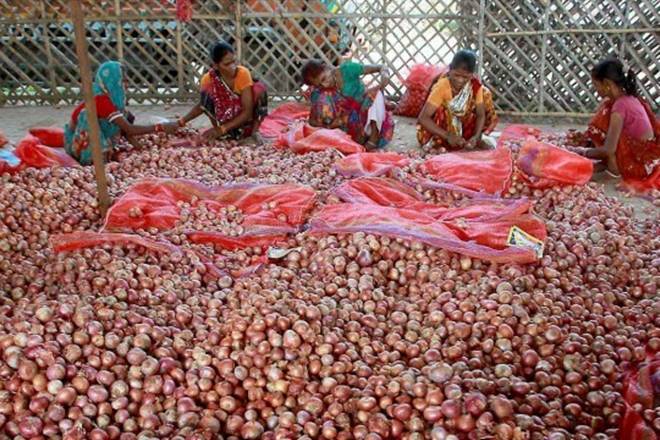 Maharashtra government, MEIS extension, Merchandise Exports from India, onion exports, Jaydutt Holkar, MEIS benefits, Devendra Fadnavis