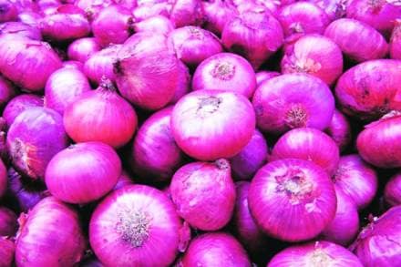 Onion procurement, crop procurement, Onion procurement in Naharashtra, Maharashtra farmers, Agriculture Produce Market Committee, NHRDF