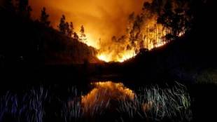 forest fire, Devastating forest fire, Portugal, forest fire in Portugal, fire in Portugal, under control, fire under control, fire in Portugal under control, firefighting, big fire