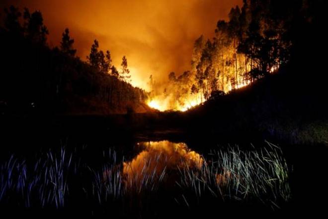 forest fire, Devastating forest fire, Portugal, forest fire in Portugal, fire in Portugal, under control, fire under control, fire in Portugal under control, firefighting, big fire