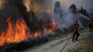 Death toll, Portuga, Death toll in Portugal, Portugal wildfire, Portuguese Civil Protection Agency, Civil Protection Agency, Portuguese Firefighters League President, Jaime Marta Soares