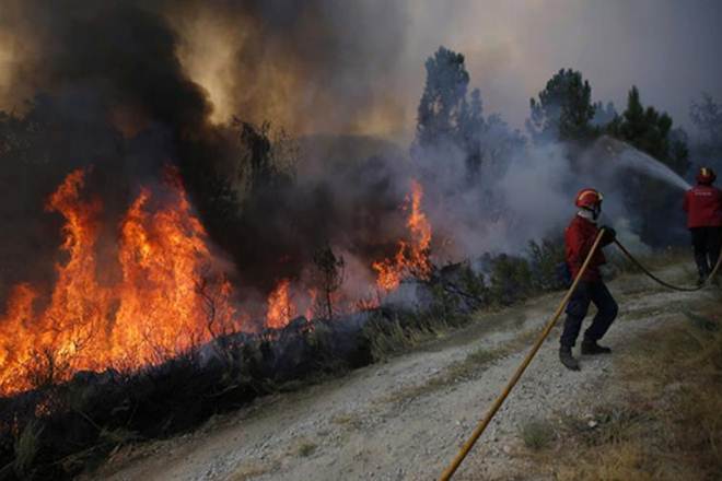 Death toll, Portuga, Death toll in Portugal, Portugal wildfire, Portuguese Civil Protection Agency, Civil Protection Agency, Portuguese Firefighters League President, Jaime Marta Soares