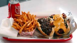 Western diet, gene may fuel risk, Alzheimer, risk of Alzheimer, cholesterol, fat, sugar, development of Alzheimer's disease, Alzheimer's disease, neurodegenerative disease, protein, apolipoprotein E, cardiovascular disease