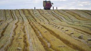 agriculture, agriculture news, agriculture india, agriculture industry india, india economy, political economy structure