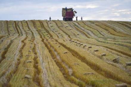 agriculture, agriculture news, agriculture india, agriculture industry india, india economy, political economy structure