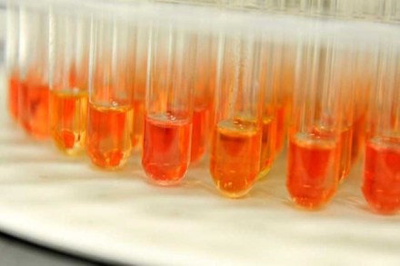 Revenue department, antidumping duty on import of TDI chemical, China, Japan, Korea,  TDI chemical, antidumping duty