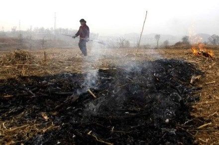 pollution, crop residue, agriculture, agriculture india, farmers, crop residue burning