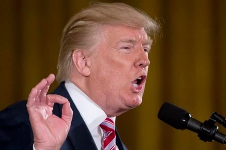 Donald Trump, Solar shares, Department of Homeland Security, Mexican border, Goldman Sachs, Pavel Molchanov