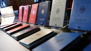 Brexit, Brits, German citizens,  German citizenship, Britons,  European Union, EU countries, German passport