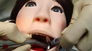  3D based blood vessels, root canal, Luiz Bertassoni, Oregon Health and Science University,  decayed teeth, infected teeth, dental problems