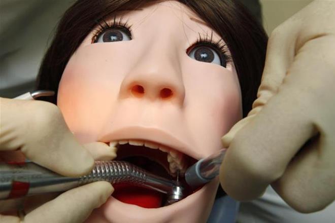  3D based blood vessels, root canal, Luiz Bertassoni, Oregon Health and Science University,  decayed teeth, infected teeth, dental problems