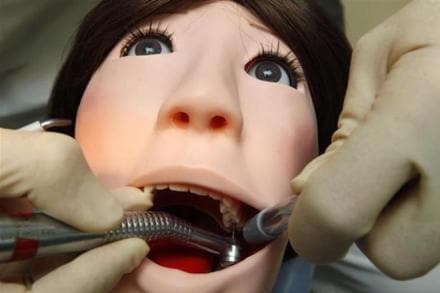 3D based blood vessels, root canal, Luiz Bertassoni, Oregon Health and Science University, decayed teeth, infected teeth, dental problems 3D based blood vessels, root canal, Luiz Bertassoni, Oregon Health and Science University, decayed teeth, infected teeth, dental problems