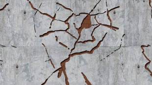 earth quake, earthquake, Guatemala, southern Mexico, earthquake hit Guatemala and southern Mexico, tremor, tremor in Guatemala, tremor in southern Mexico, Disaster Reduction, Natural Disaster, Natural calamity, crisis