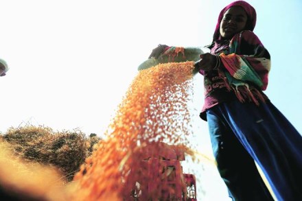 P Chidambaram, farm, farmers, Uttar Pradesh