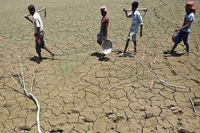 farmer suicide, agricultural households, IndiaSpend, farm loan waiver, National Sample Survey Office, Tamil Nadu,  Andhra Pradesh, NABARD