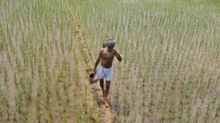 farmers protest, Marathwada villages, Kadwanchi, Nandapur, Waghrul, jalna district, Krishi Vigyan Kendra, CRIDA, farmers suicide, water intensive crop