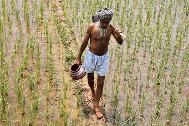 monsoon, monsoon in agriculture sector, monsoon price woes, farmers protest due to price woes, farmers protest and monsoon monsoon, monsoon in agriculture sector, monsoon price woes, farmers protest due to price woes, farmers protest and monsoon