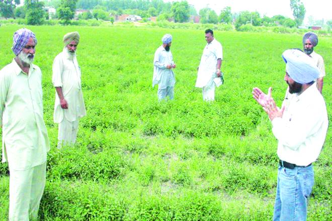 farm loan waiver, indian economy, farmers crisis, farmers agitation, farmers debt