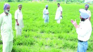 farm loan waiver, indian economy, farmers crisis, farmers agitation, farmers debt