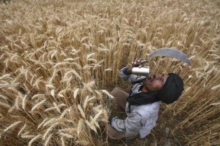 farmers, demonetisatin farmers, farmers issue, farmers protest