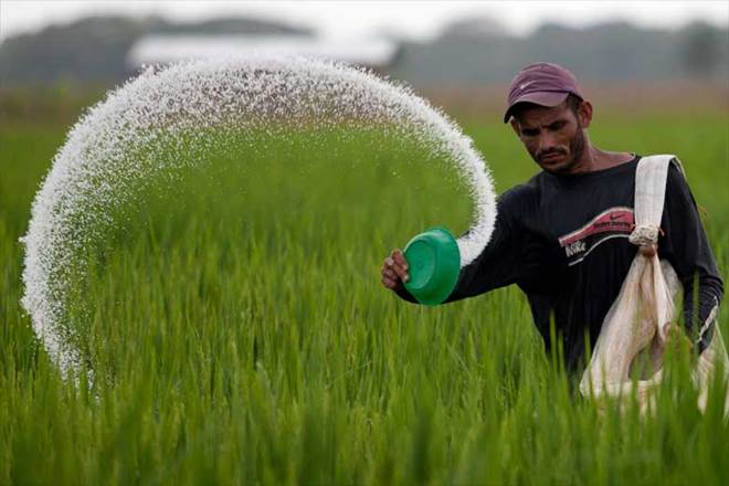 India's muriate of potash (MoP) fertilizers import could reduce 5-7 per cent in the current fiscal due to firm global prices and cut in government subsidy, leading importer IPL said today. (Image: Reuters)