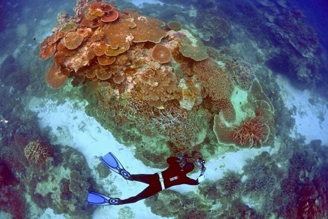 United Nations, Barrier Reef, Great Barrier Reef, health, IUCN, World Heritage Centre, LTSP