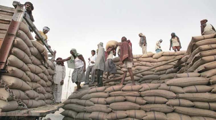 foodgrains, rice, stock