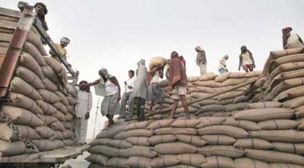 foodgrains, rice, stock