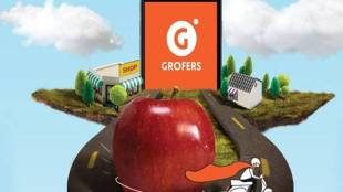 Onlince grocery delivery, startups, Grofers.com, foreign direct investment, FDI, india's fdi policy