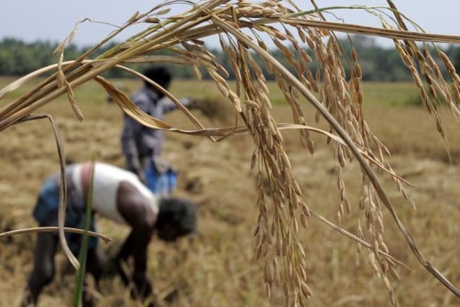 Government, kharif MSP, farmers protest, Commission for Agricultural Costs and Prices, Radha Mohan Singh