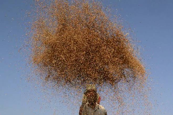 narendra modi, narendra modi farmer welfare, MSP for kharif crops, farmers growing kharif crops