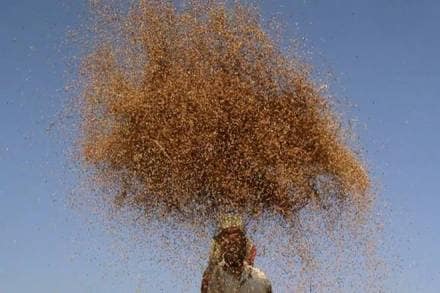 narendra modi, narendra modi farmer welfare, MSP for kharif crops, farmers growing kharif crops