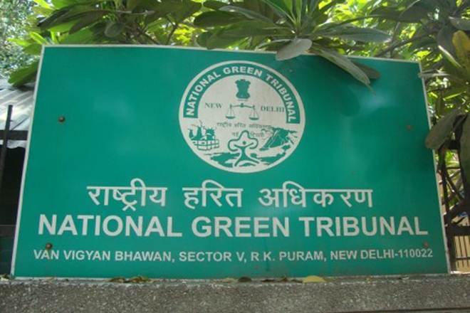 National Green Tribunal, NGT, diesel vehicles, BS-IV norms, petroleum products, GPS, NGT allows registration, registration of 3 diesel trucks