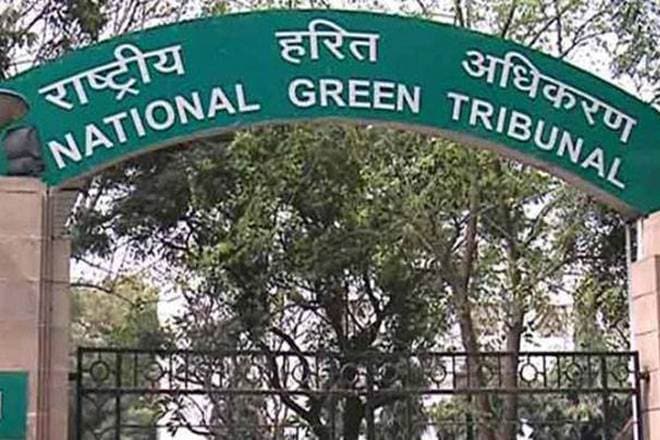 ngt, national green tribunal, ngt news, ngt latest news, pollution