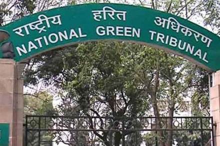 ngt, national green tribunal, ngt news, ngt latest news, pollution ngt, national green tribunal, ngt news, ngt latest news, pollution